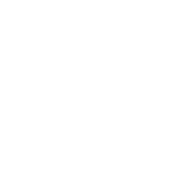 Chaniq AI